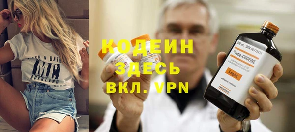 ешки Бородино