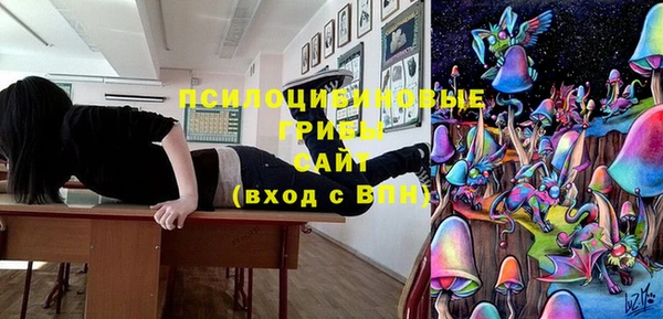 ешки Бородино