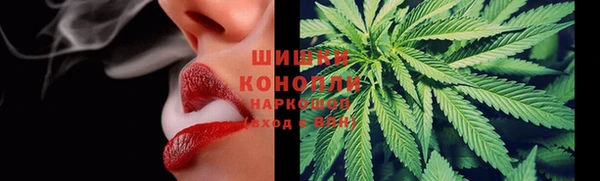 мдпв Бронницы