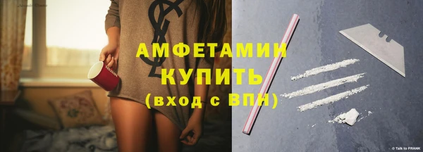 амф Болотное