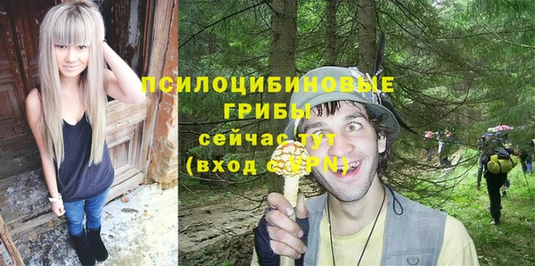 спайс Дмитриев