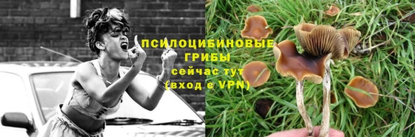 тгк Бугульма