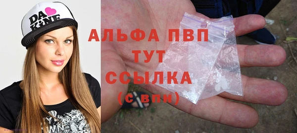 ешки Бородино
