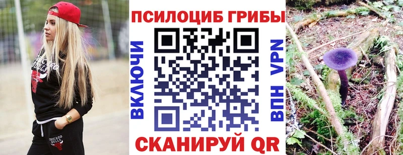 Галлюциногенные грибы прущие грибы  omg вход  Ворсма 